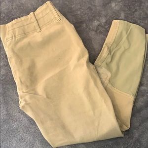 Ariat Show Breeches